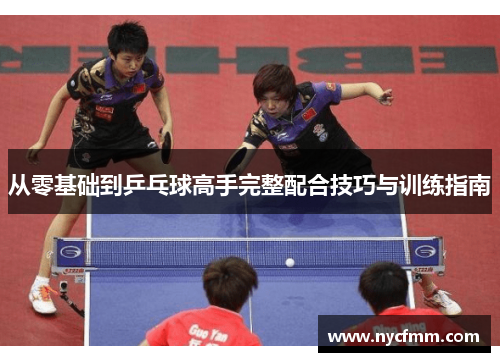 从零基础到乒乓球高手完整配合技巧与训练指南