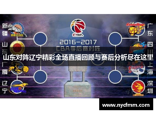 山东对阵辽宁精彩全场直播回顾与赛后分析尽在这里